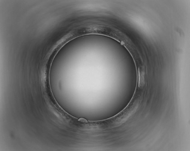 X0000114520435200910191158