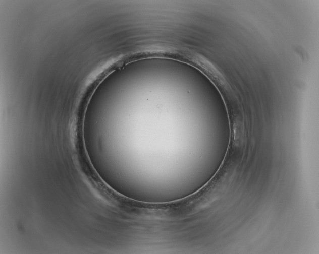 X0000114520436200910191158