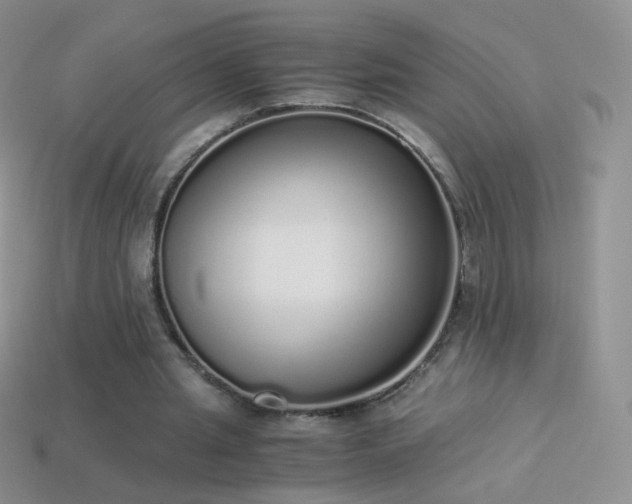 X0000114520437200910191158