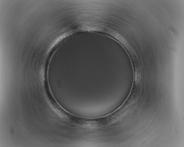 X0000114520438200910191158