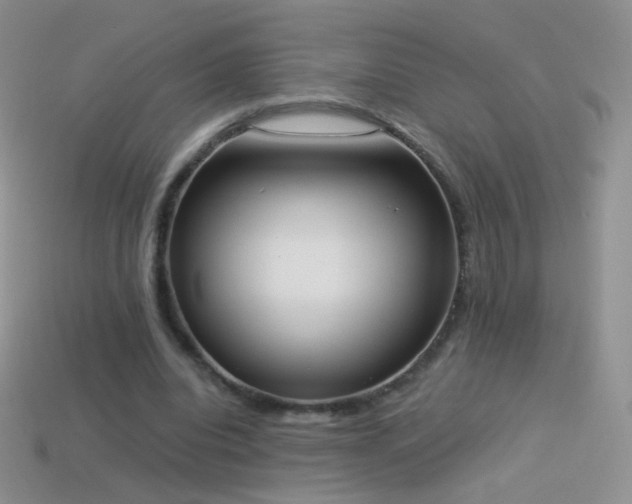 X0000114520440200910191158