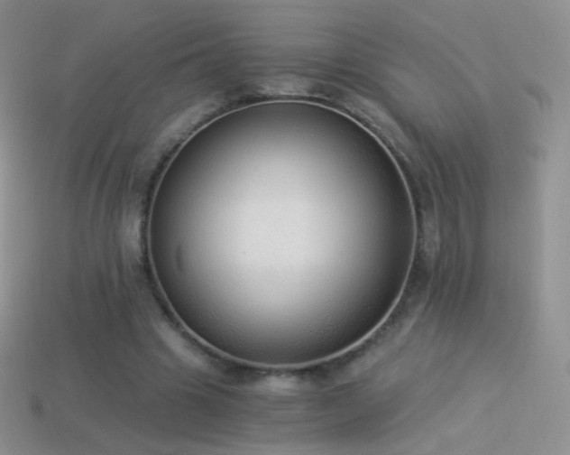 X0000114520441200910191158