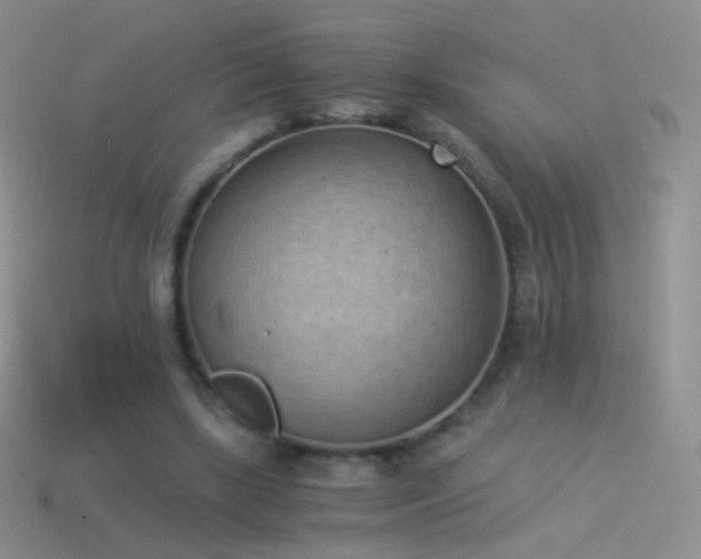 X0000114520443200910191158