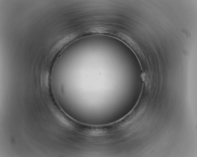 X0000114520445200910191158