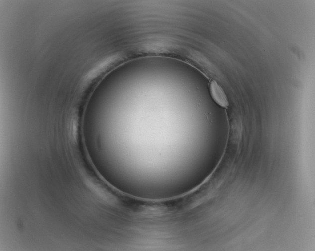 X0000114520446200910191158