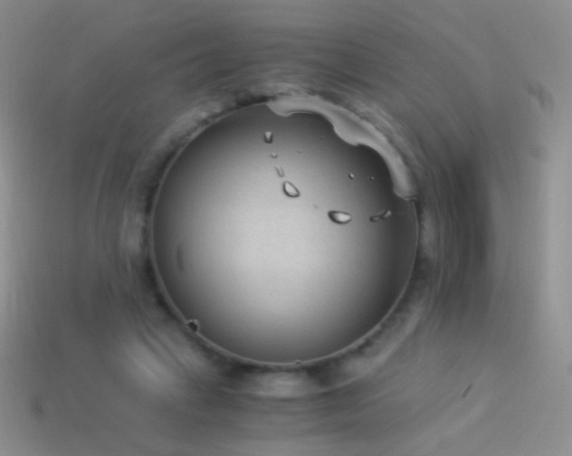 X0000114520449200910191158