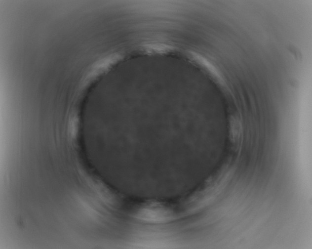 X0000114520451200910191158