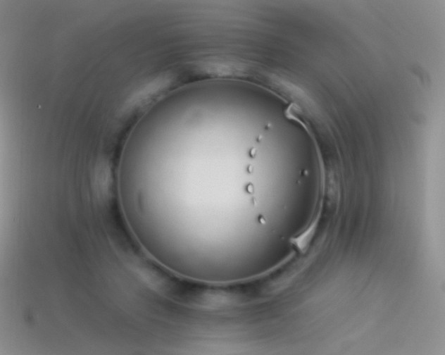 X0000114520453200910191158