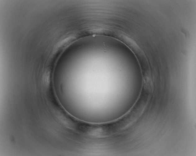 X0000114520454200910191158