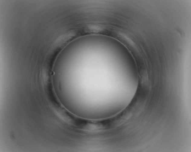 X0000114520455200910191158