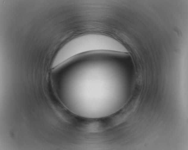 X0000114520456200910191158