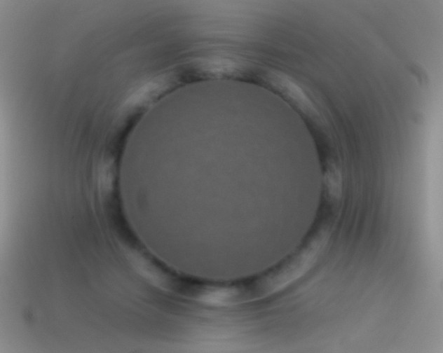 X0000114520458200910191158