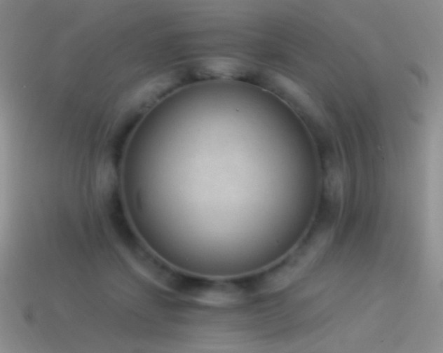 X0000114520459200910191158