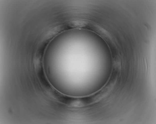 X0000114520460200910191158