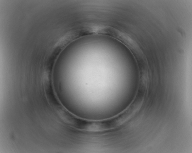 X0000114520461200910191158