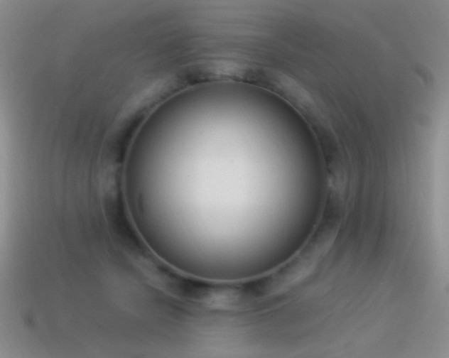 X0000114520462200910191158