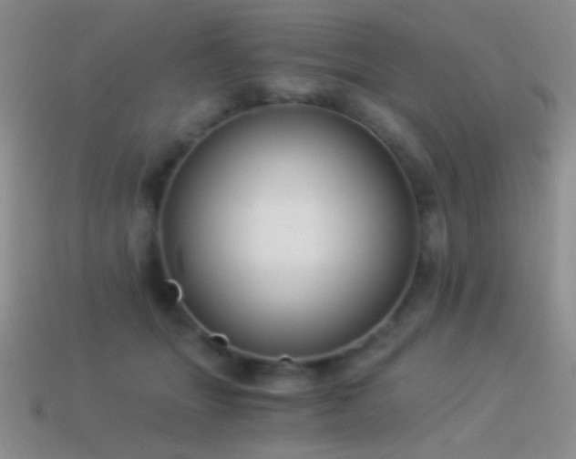 X0000114520463200910191158