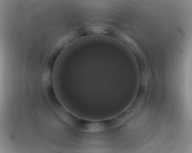 X0000114520465200910191158