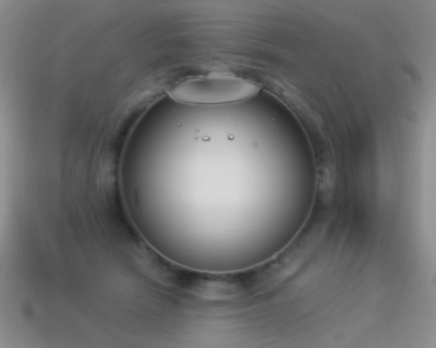 X0000114520466200910191158