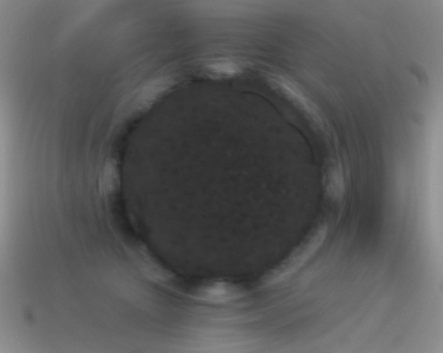 X0000114520467200910191158