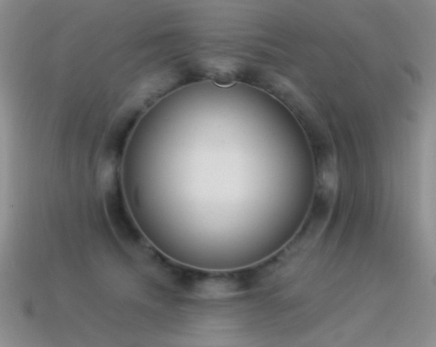 X0000114520468200910191158