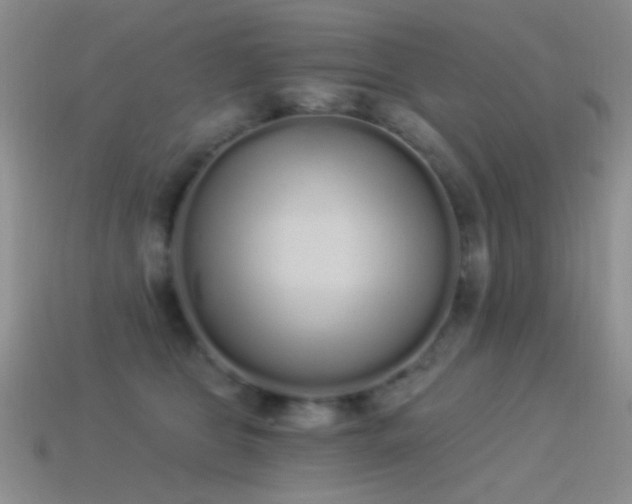 X0000114520469200910191158