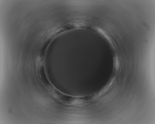 X0000114520471200910191158