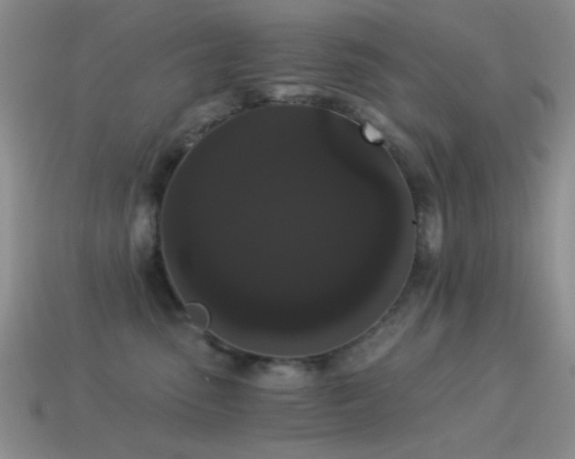 X0000114520475200910191158