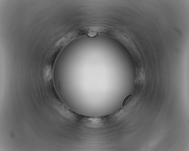 X0000114520478200910191159