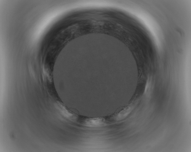 X0000114520479200910191159