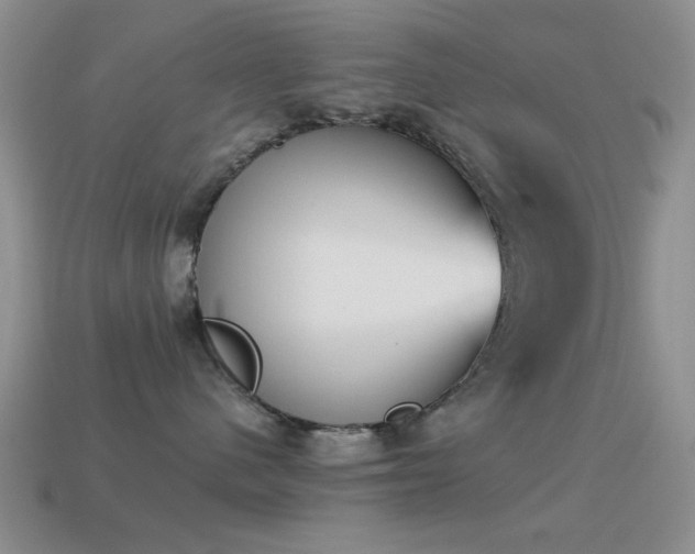 X0000114520480200910191159