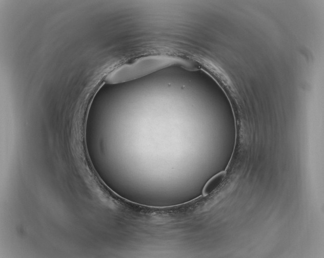 X0000114520481200910191158