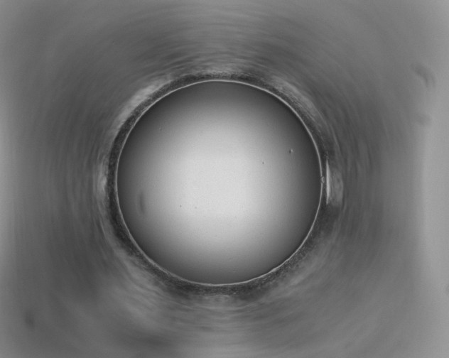 X0000114520483200910191158