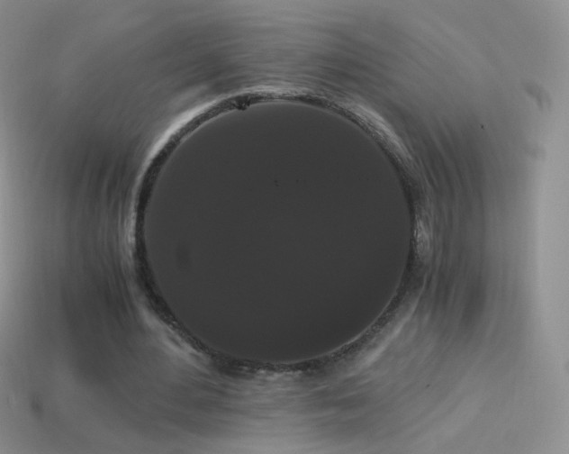 X0000114520484200910191158