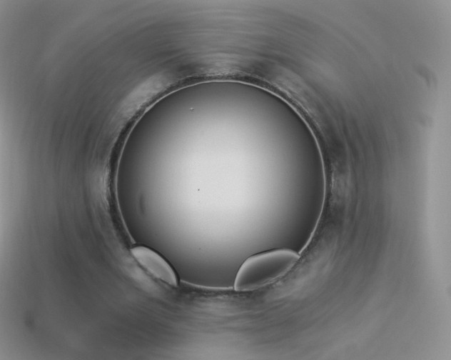 X0000114520485200910191158