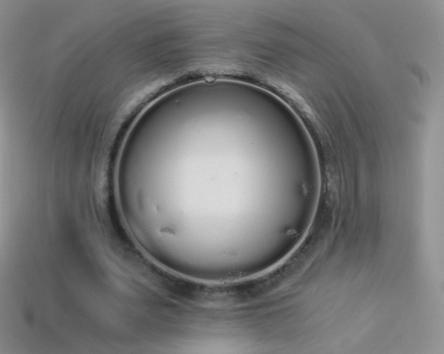 X0000114520487200910191158