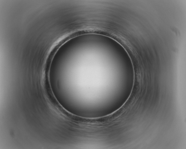 X0000114520488200910191158