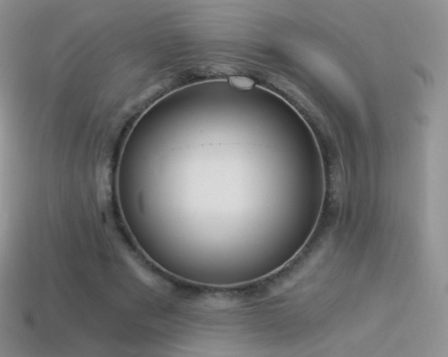 X0000114520489200910191158