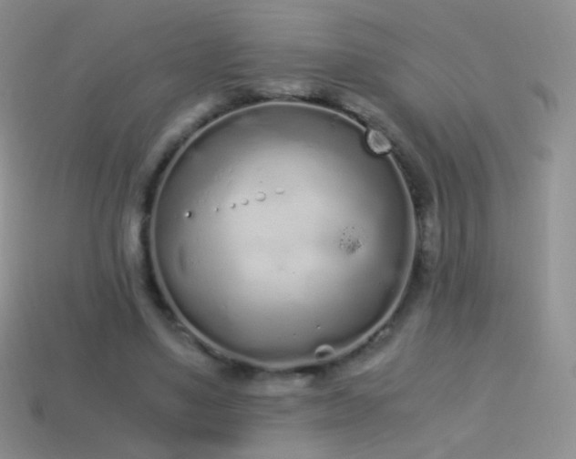 X0000114520491200910191158