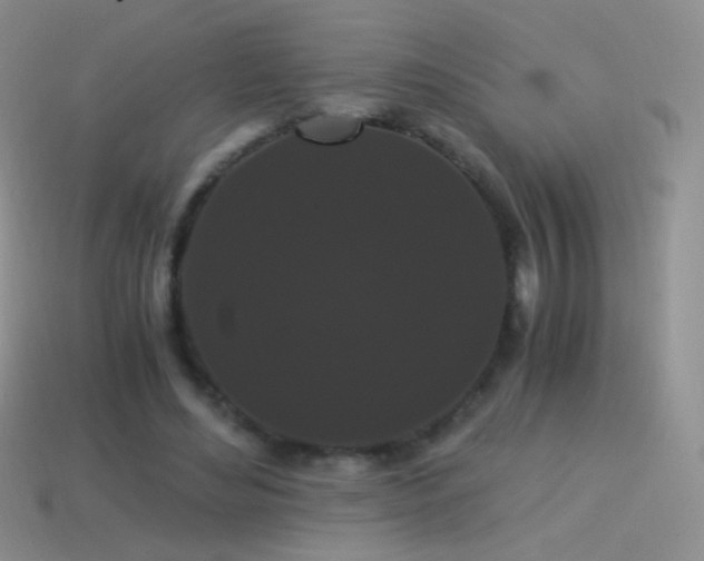 X0000114520492200910191158