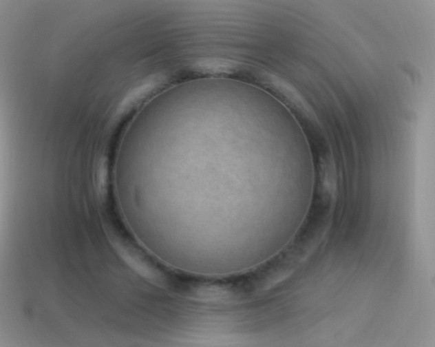 X0000114520494200910191158