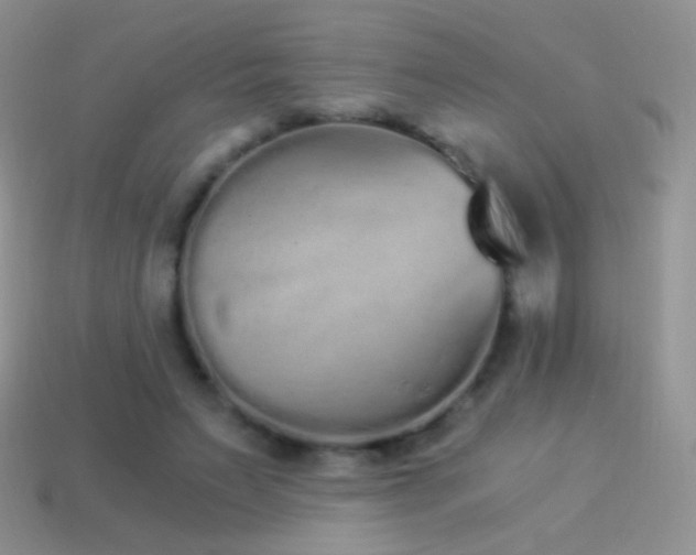 X0000114520495200910191158