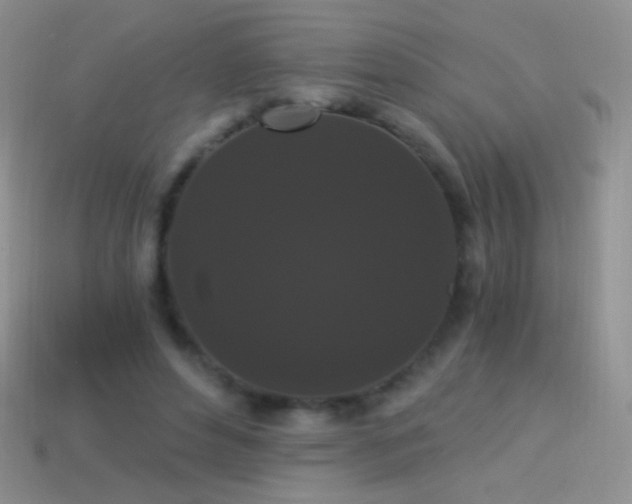 X0000114520496200910191158