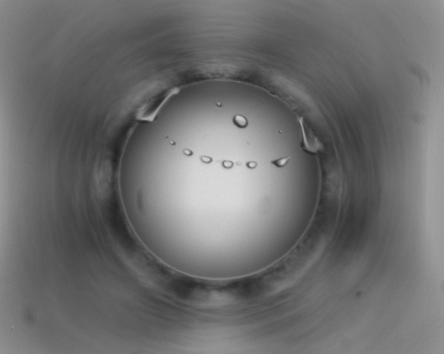 X0000114520498200910191158