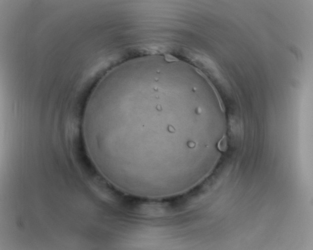 X0000114520499200910191158