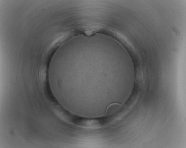 X0000114520501200910191157