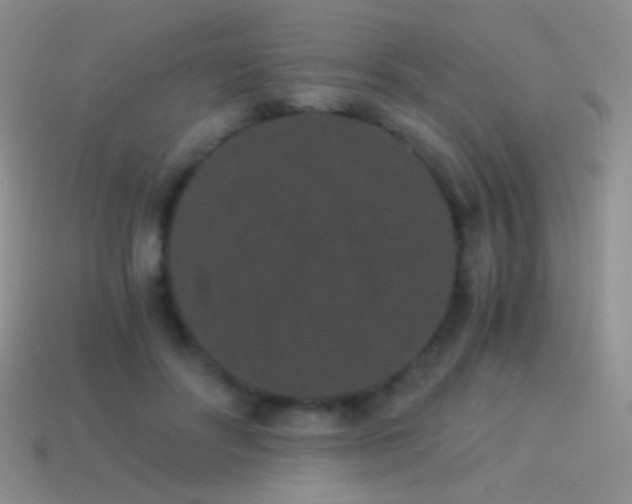 X0000114520502200910191157