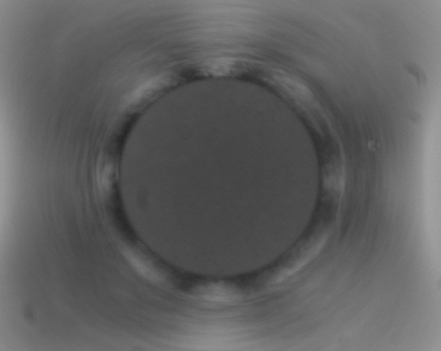 X0000114520503200910191157