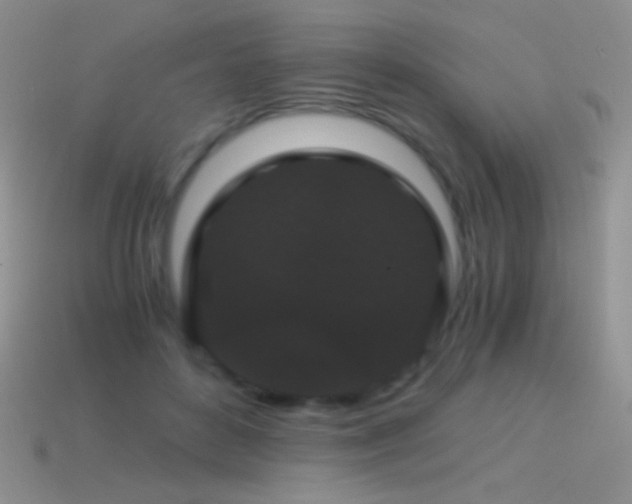 X0000114520504200910191157