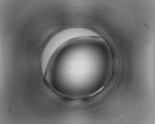 X0000114520505200910191157